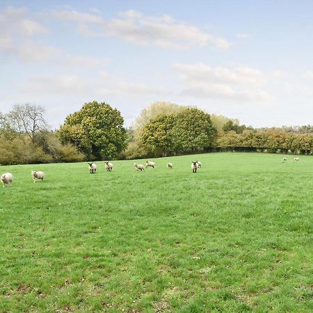 Farmhouse Garden Shepherds Hut Thursley Esterno foto